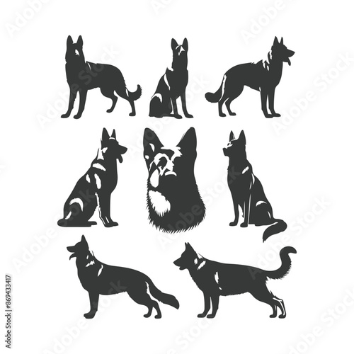 German Shepherd dog silhouette vector set - Vector drawing of a set of German shepherd dog breed silhouette photo