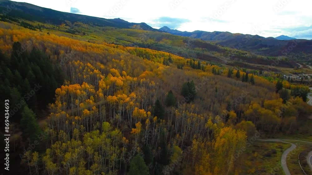Aerial Backward Scenic Shot Of Cars Moving On Road In Autumn Forest On Mountains - Aspen, Colorado Aerial Backward Scenic Shot Of Cars Moving On Road In Autumn Forest On Mountains - Aspen, Colorado