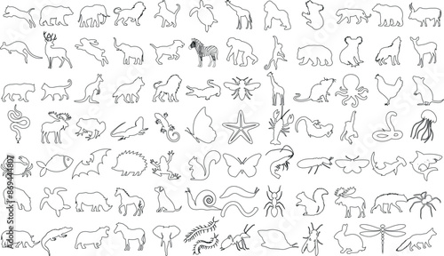 Animal outline vector collection includes lizard, reptile, amphibian, fish, insect, mammal, bird, aquatic designs. Ideal for logos, illustrations, and art projects