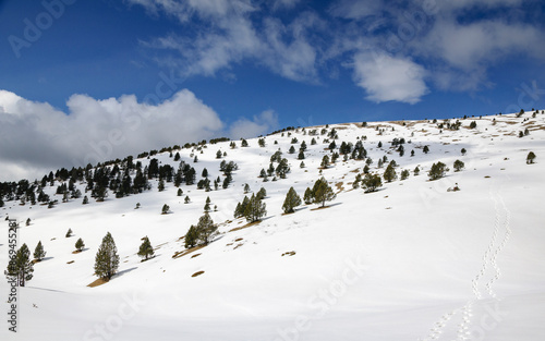 Serra del Verd snow covered mountain in winter, climbing towards the Cap del Verd summit (Berguedà, Catalonia, Spain, Pyrenees)