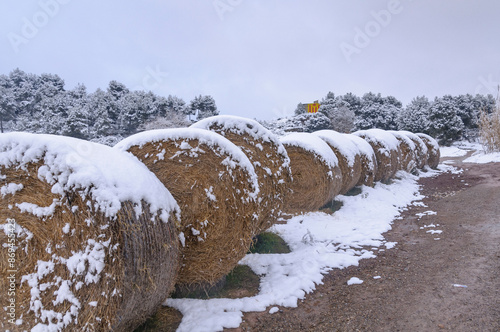 Photography Snowy straw bales near the town of Navàs (Bages, Barcelona, Catalonia, Spain)