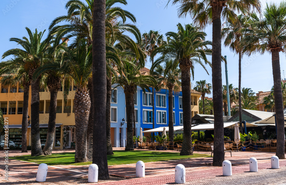 Fototapeta premium a lush palm-lined pathway leading to a building with striking wall, nestled in a tranquil, sunny coastal resort area.