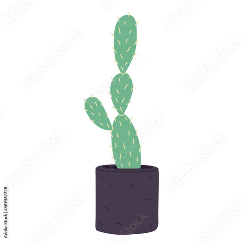 Opuntia, potted pear cactus. Prickly house plant with thorns. Barbed segmented cacti growing in home flowerpot.