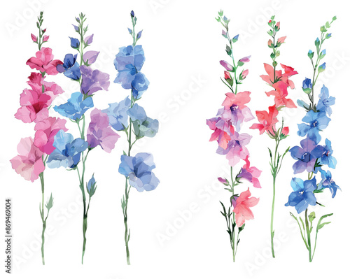 This is a beautiful set of watercolor delphinium flowers in bright pinks, whites, and blues.