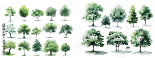 Isolated watercolor trees side view for landscape planning