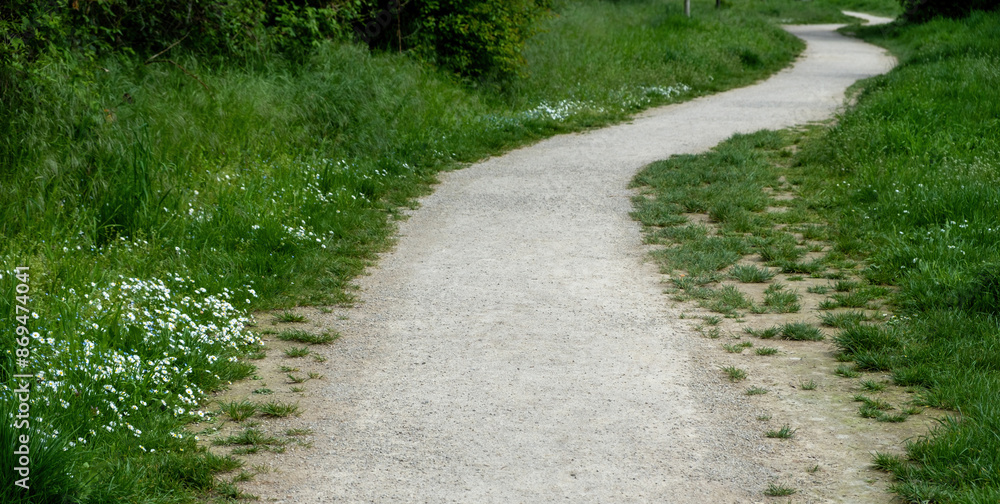 Winding stone footpath through green grass and white tiny flower. Winding stone footpath through green grass and white tiny flower.