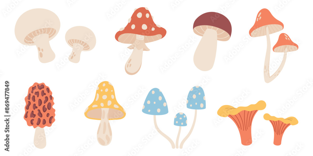 Set of mushrooms on white background, vector illustration Set of mushrooms on white background, vector illustration