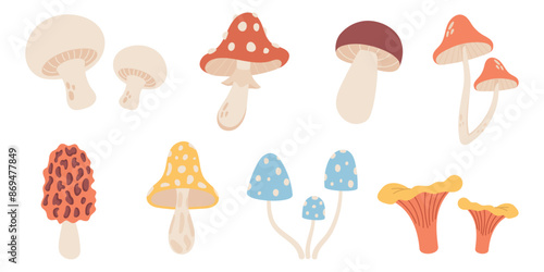 Set of mushrooms on white background, vector illustration