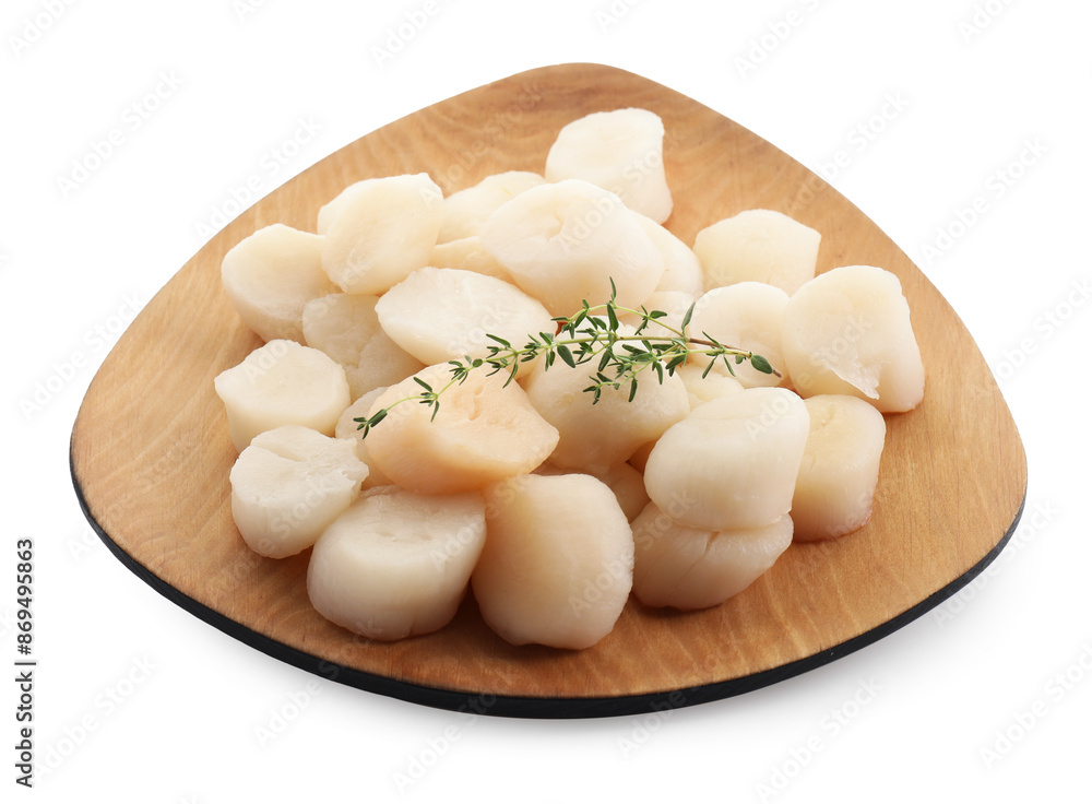 Fresh raw scallops and thyme isolated on white Fresh raw scallops and thyme isolated on white
