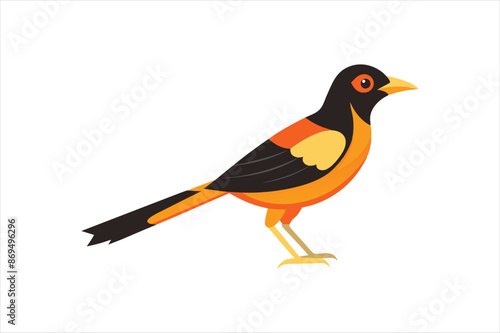 A beautiful Oriole bird Vector artwork illustration 