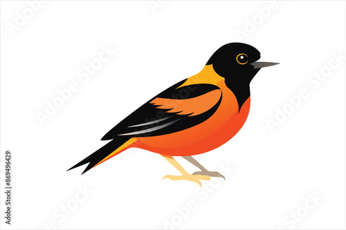 A beautiful Oriole bird Vector artwork illustration 