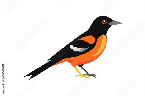 A beautiful Oriole bird Vector artwork illustration 