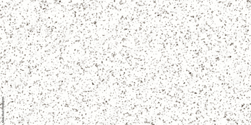 Obraz premium Abstract gray and white quartz terrazzo marble tile background. Terrazzo stone mosaic texture. quartz surface for bathroom or kitchen countertop. marble texture design terrazzo texture. 