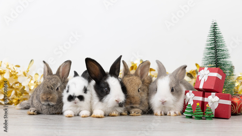 Billede på lærred Group of lovely baby bunny easter fluffy rabbits in winter christmas scene with colorful bokeh yellow green red gifts, balls, and snow house