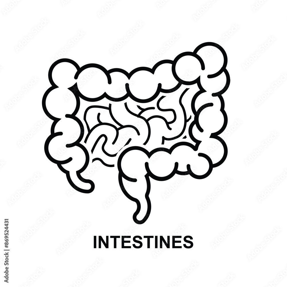 Intestine icon.Organs in the body isolated on background vector illustration. Intestine icon.Organs in the body isolated on background vector illustration.