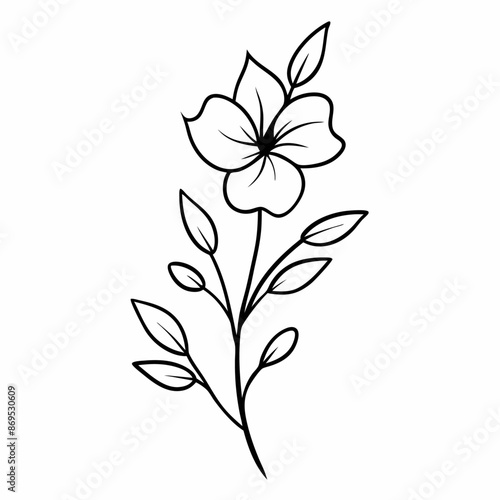 Doodle flower branch outline isolated white background (13)