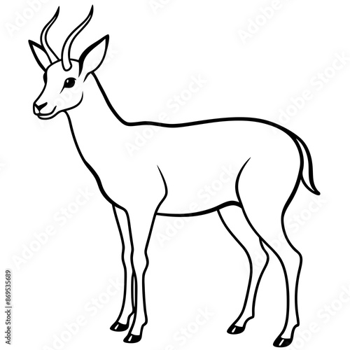 Chamois vector illustration