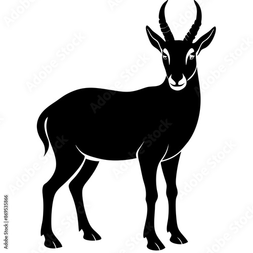 Chamois vector illustration