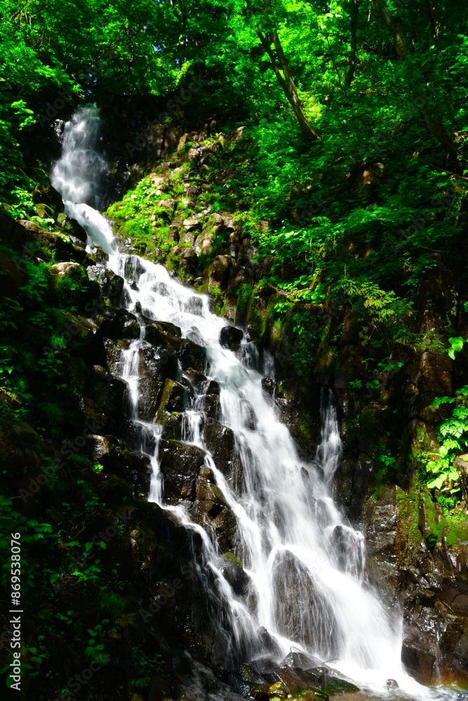 Fototapeta premium 大尾不動滝（新潟県）