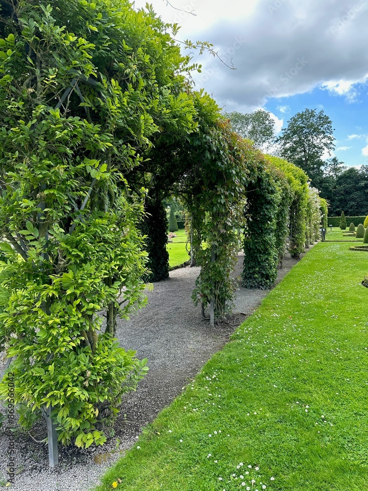 Tunnels made of plants and green grass in park