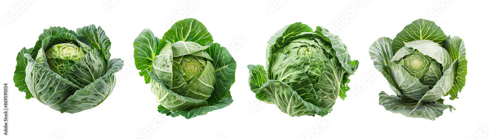 Obraz premium Four cabbages isolated on transparent background, round raw leaves earthy
