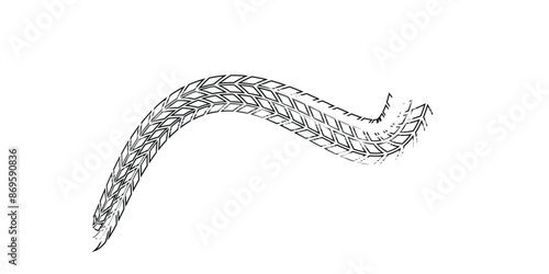 Tire trace track. Abstract wheels braking distances, tread silhouettes brushes. Isolated car or motorcycles vector trails