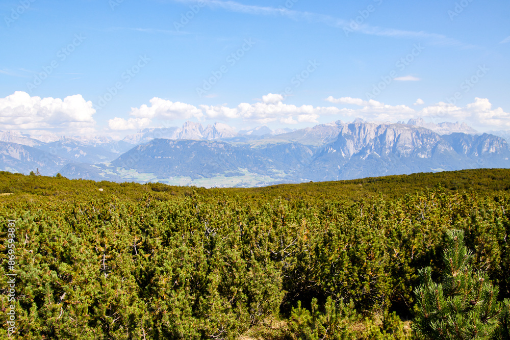 wanderung am rittner horn in südtirol wanderung am rittner horn in südtirol