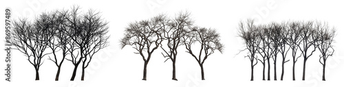 Digital art of group of black trees without leaves isolated on transparent background