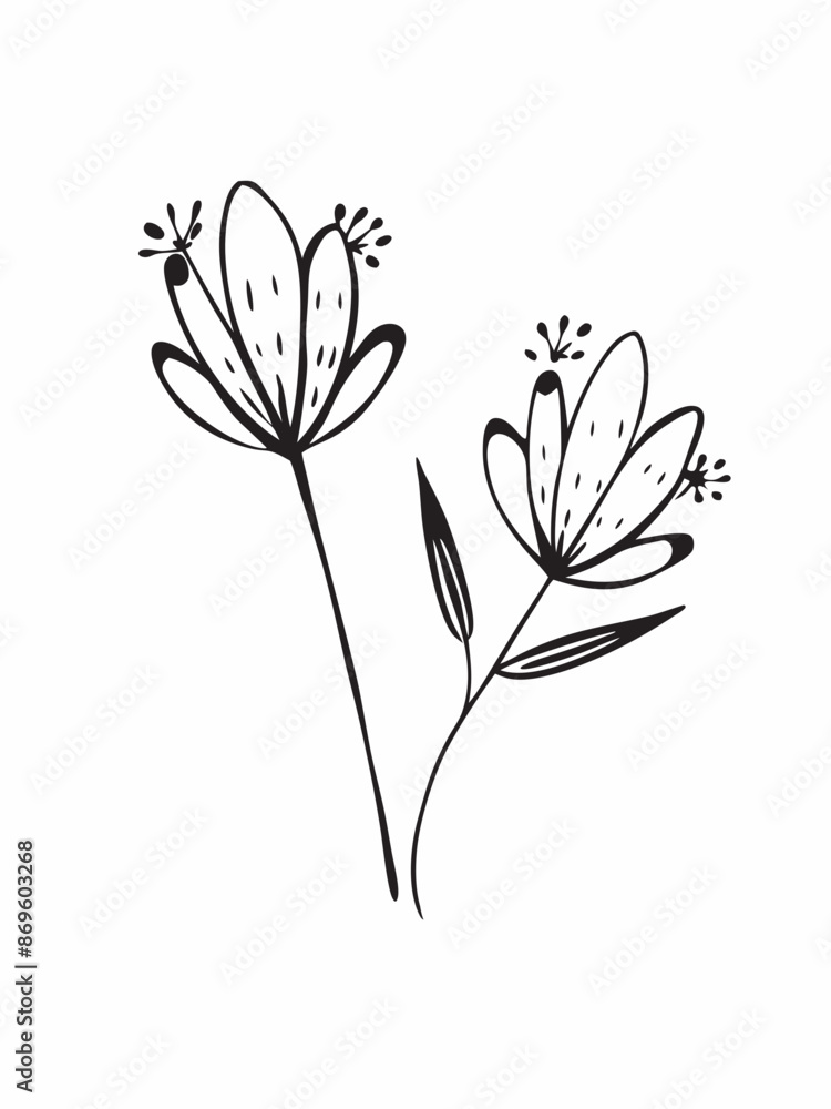 Obraz premium Hand-drawn style line art of a daisy flower vector illustration