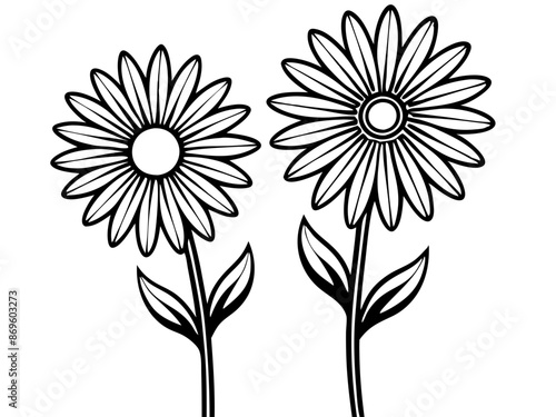 Wallpaper Mural Line art of Daisy Flower vector illustration  Torontodigital.ca