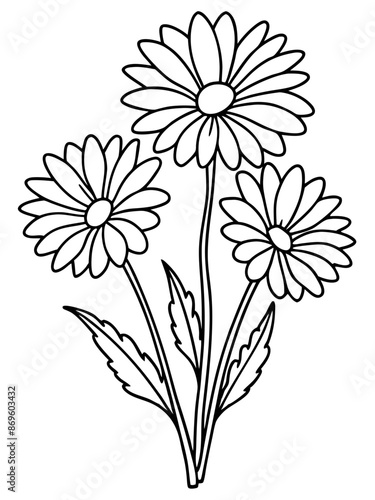 Wallpaper Mural Line art of Daisy Flower vector illustration  Torontodigital.ca
