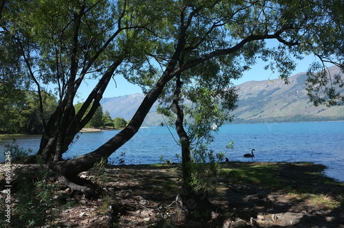 Photo of lakeside view of Lake Wakatipu or Whakatipu wai-maori and The Remarkables in Glenorchy, Otago region, South Island of New Zealand. © patrimonio designs
