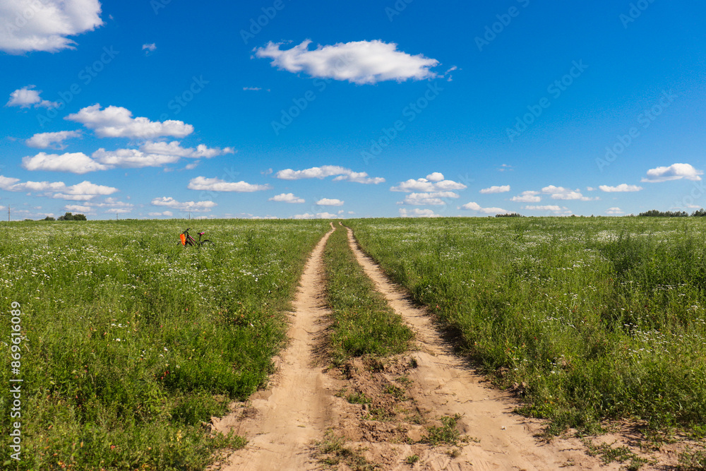 Fototapeta premium road in a field leading into the sunset