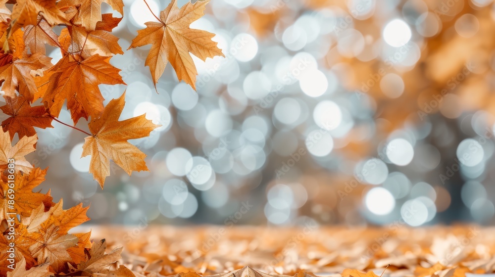 Orange maple leaves on the ground with a bokeh effect defocused background Orange maple leaves on the ground with a bokeh effect defocused background