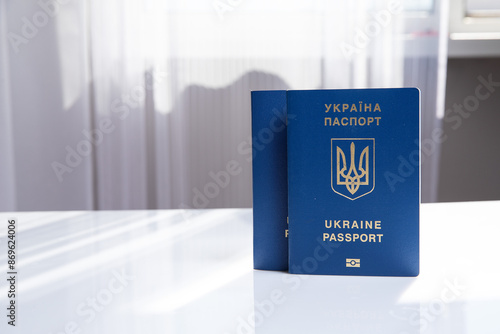 Ukrainian, adaptation, application, assistance, asylum, biometrics, border, challenges
