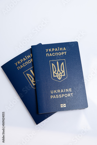 Ukrainian, adaptation, application, assistance, asylum, biometrics, border, challenges
