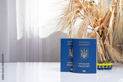 Ukrainian, adaptation, application, assistance, asylum, biometrics, border, challenges
