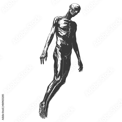 Etched Figure: Ascending Anatomy in Grayscale.