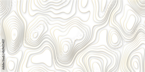 Abstract papercut multi layers background. 3D topographic pattern banner design. White papercut wave background design. Vector illustration.
