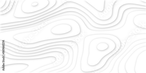 Abstract papercut multi layers background. 3D topographic pattern banner design. White papercut wave background design. Vector illustration.