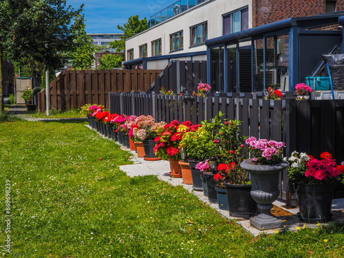 A vibrant row of potted flowers adds a burst of color to a modern residential garden, framed by a sleek fence and contemporary buildings in the background