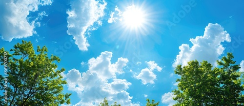 A serene landscape featuring a bright blue sky with scattered trees and clouds, ideal for adding text or images, known as copy space image.