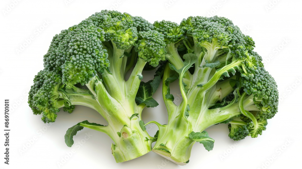 Broccoli on white background, top view Broccoli on white background, top view