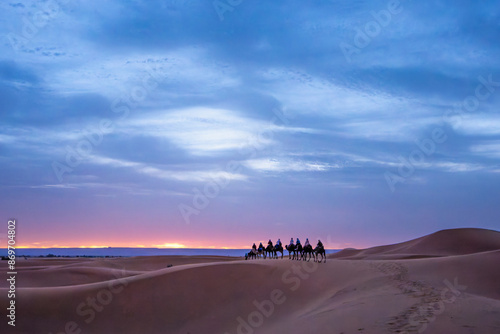 A group of travelers on camels witness the sunrise in Morocco's beautiful Merzouga desert. This is the most beautiful section of the Moroccan Sahara Desert.
