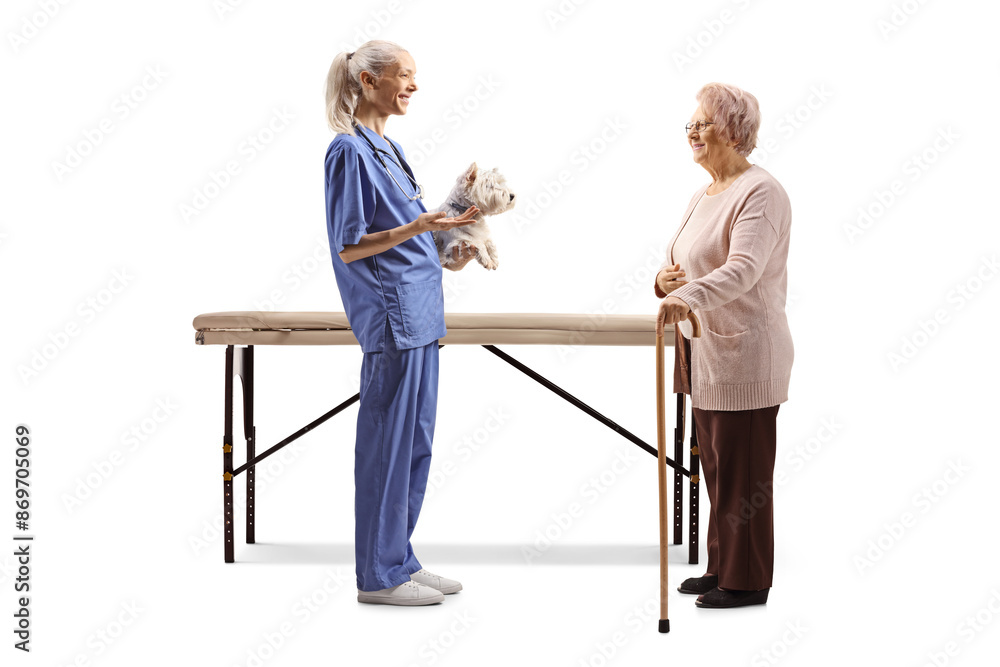 Obraz premium Female veterinarian in a uniform holding a westie terrier dog and talking to an older lady
