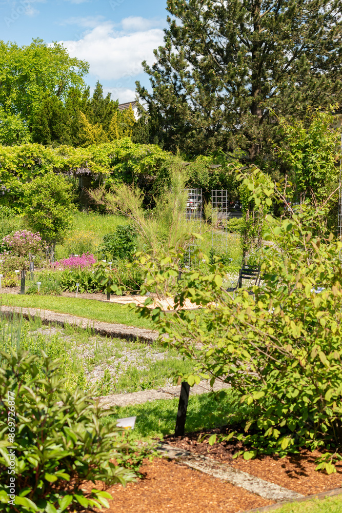 Fototapeta premium Botanical garden in Saint Gallen in Switzerland