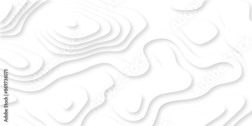 Abstract background vector illustration 3d papercut wave line pattern background. white and gray luxury grid topography map and satin smooth wallpaper matt paper light texture.