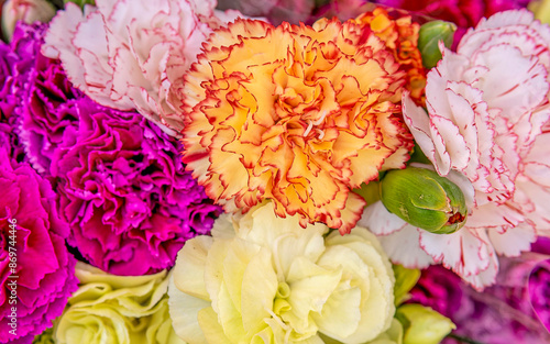 A collection of colorful carnation flowers top view closeup. Natural background.