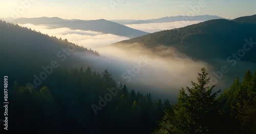 Misty sunrise over a lush mountain valley. Ideal for travel, nature, or landscape-themed projects.