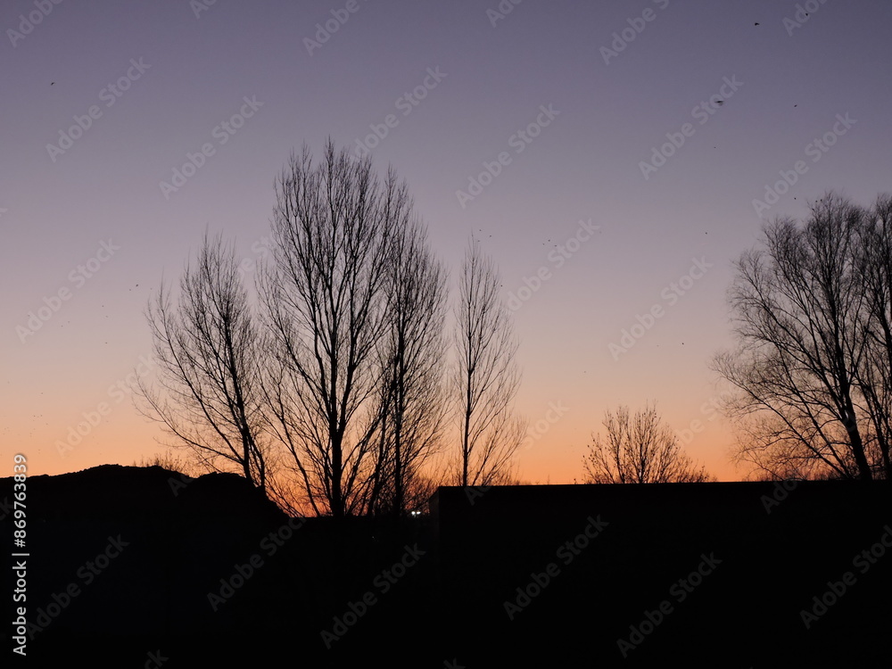 Naklejka premium sunset in the city